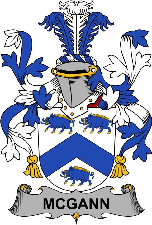 McGann Coat of Arms